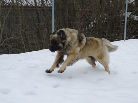 Februar 2013